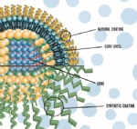 Quantum Dots, CdTe